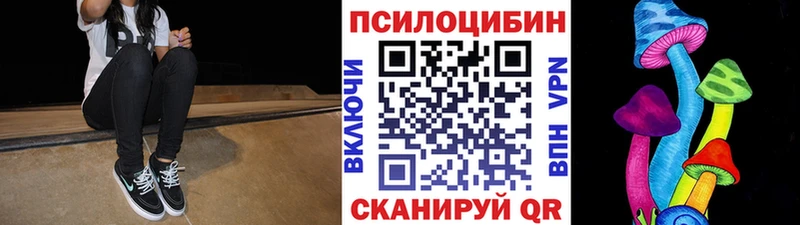 omg вход  магазин продажи   Нефтеюганск  Галлюциногенные грибы Psilocybe 